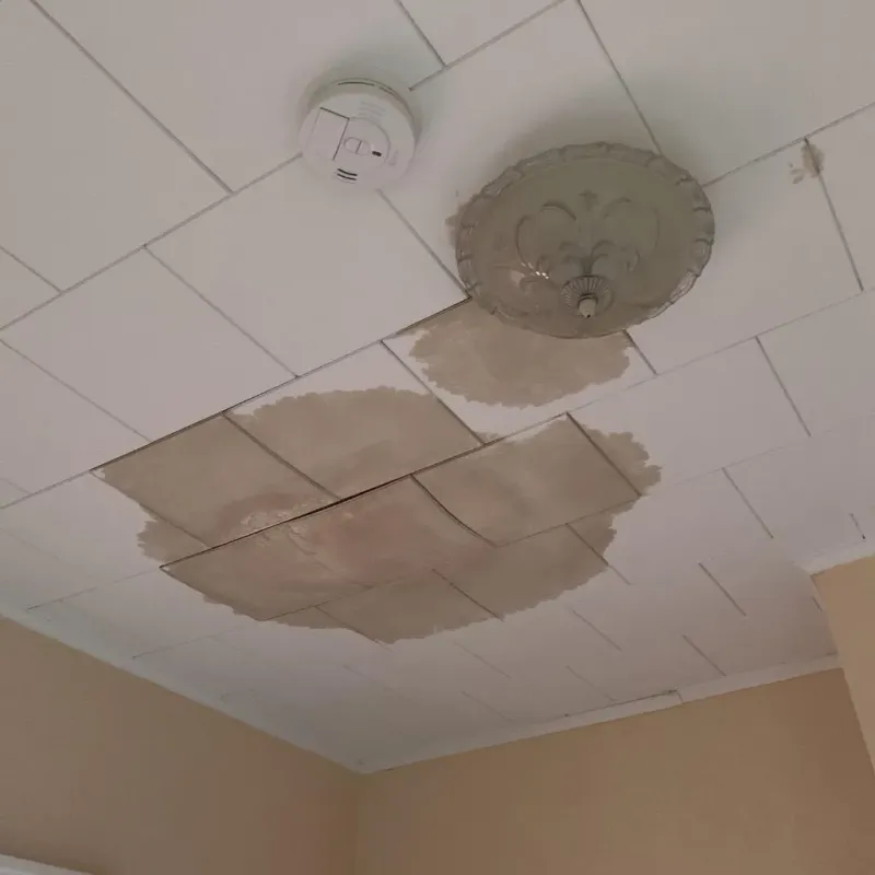 Ceiling Water Damage Repair in Fort Deposit, AL