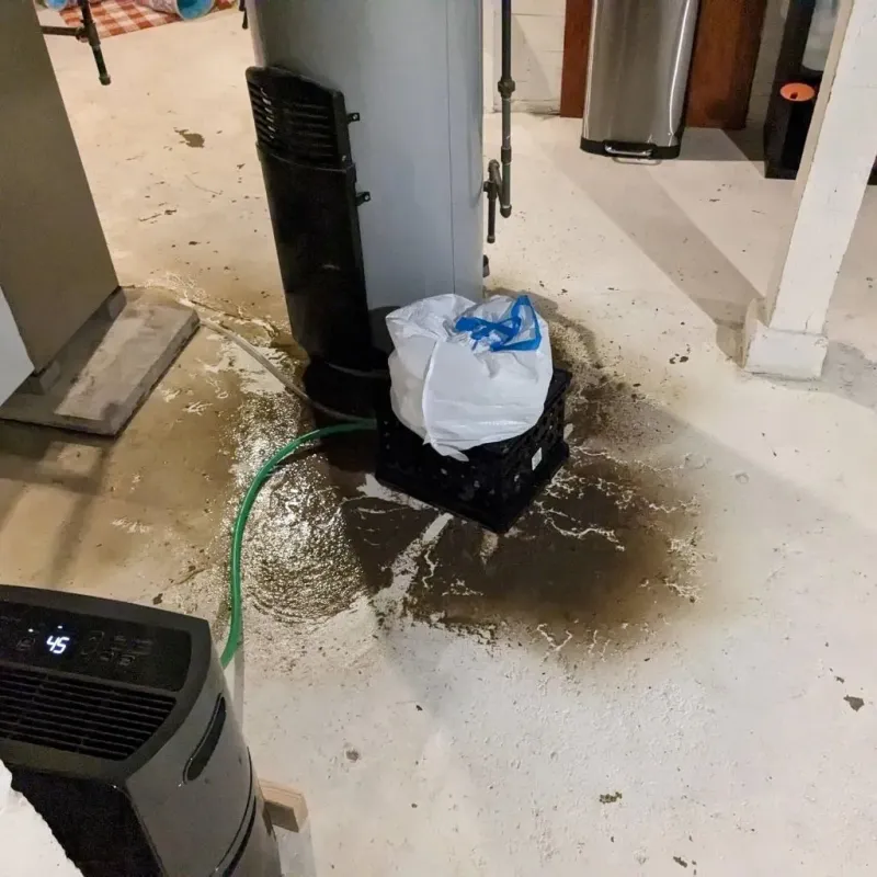 Sewage Backup Cleanup Service in Fort Deposit, AL